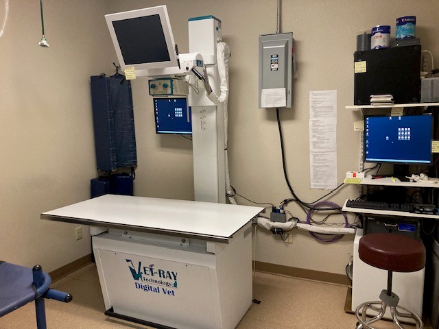 The Pet Wellness Clinic X-Ray Room