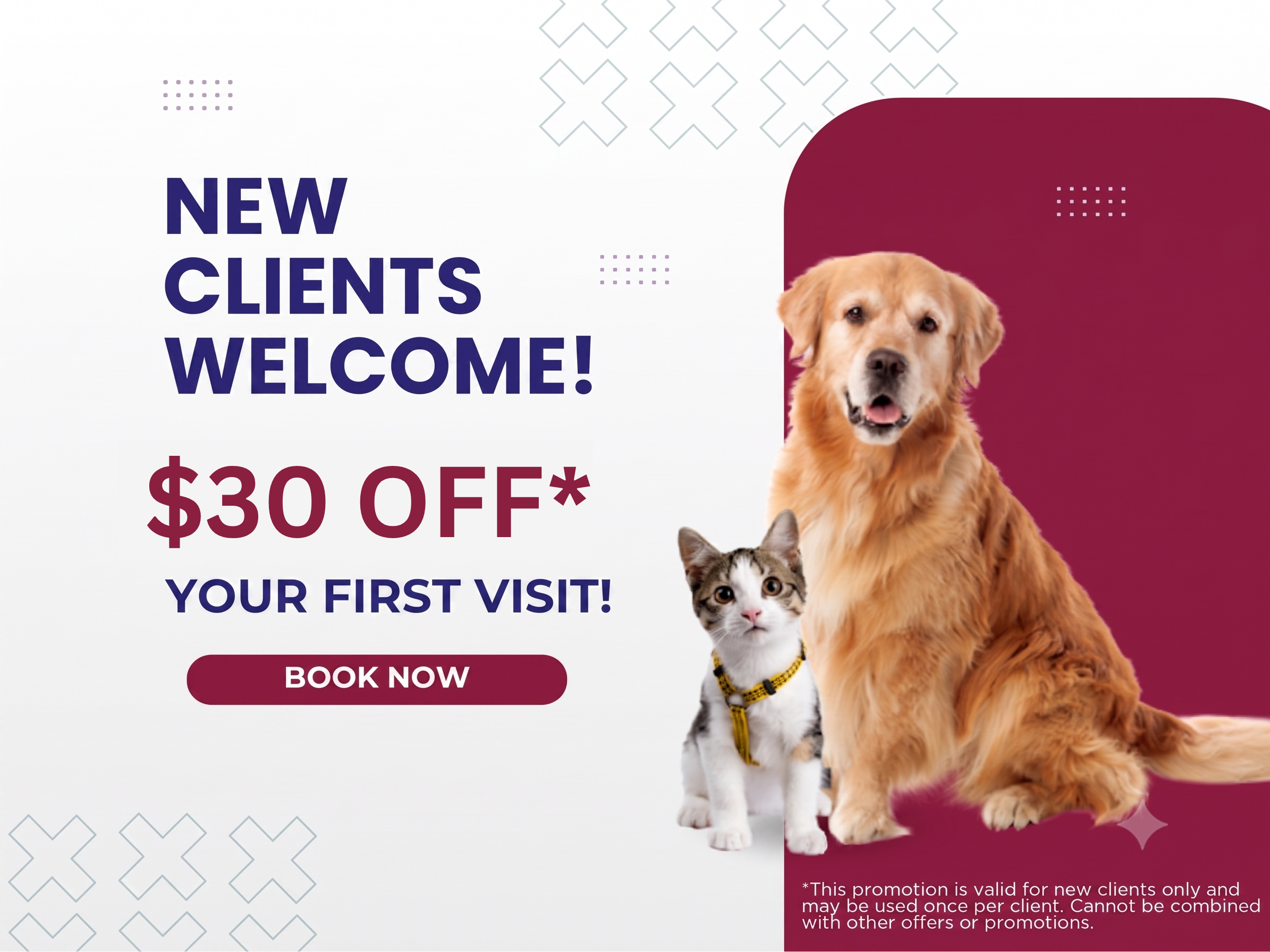 A furry dog in a vet hand